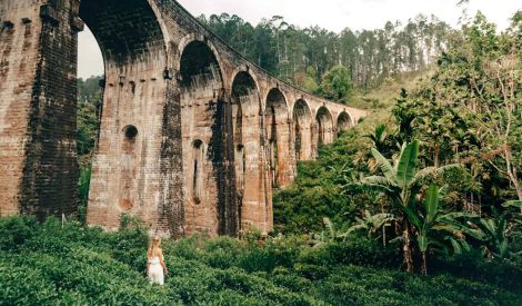 national tourist guide course in sri lanka